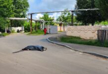 Zelensky advierte que las defensas aéreas están saturadas mientras Rusia mata a 9 en ataques a Ucrania Dnipro After Russian Missile Attack 2023 05 26 17